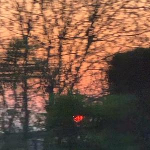 女人下面被艹视频
