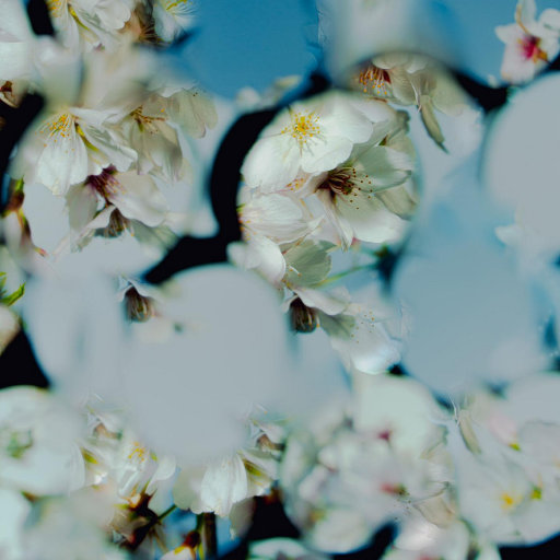 女人下面被艹视频
